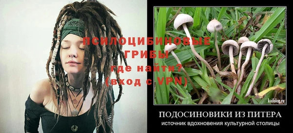 экстази Белокуриха