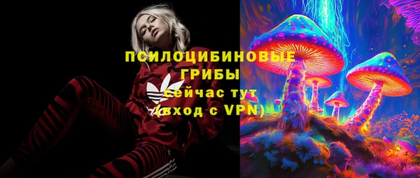 спиды Беломорск